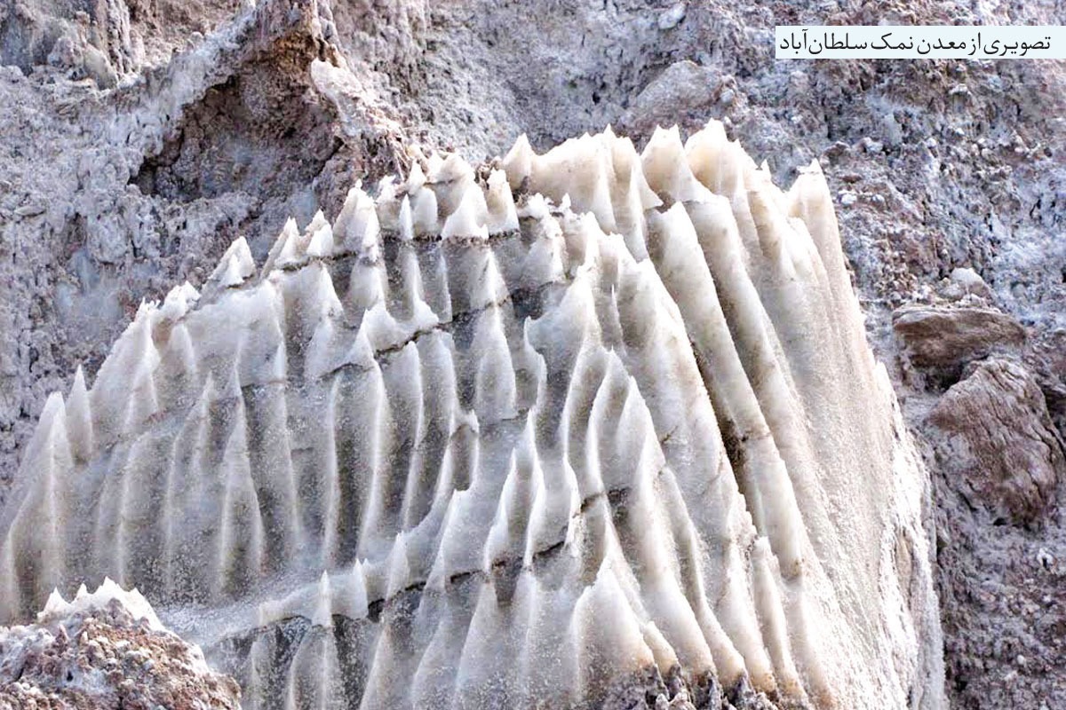 در مشهد قدیم هم، مثل همه شهر‌ها و آبادی‌های دیگر، نمک، کالایی پرمشتری بوده و بازارش، پررونق.