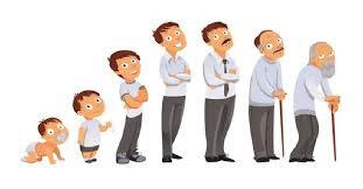 آیا با بالا رفتن سن، قد ما واقعاً کوتاه می‌شود؟