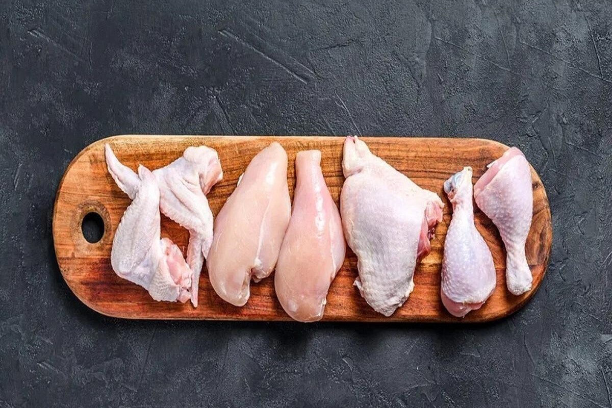 دبیر انجمن صنفی تولیدکنندگان جوجه یکروزه گفت: با توجه به کاهش دمای هوا، تأمین نهاده‌ها و تثبیت شرایط تولید، پیش‌بینی ما این است که قیمت مرغ در بازار متعادل و روند کاهشی خواهد داشت. دولت در حال رفع موانع تأمین ارز و نهاده‌هاست و با زیرساختی که برای نیمه دوم سال ایجاد شده، چشم‌انداز بازار مثبت است.