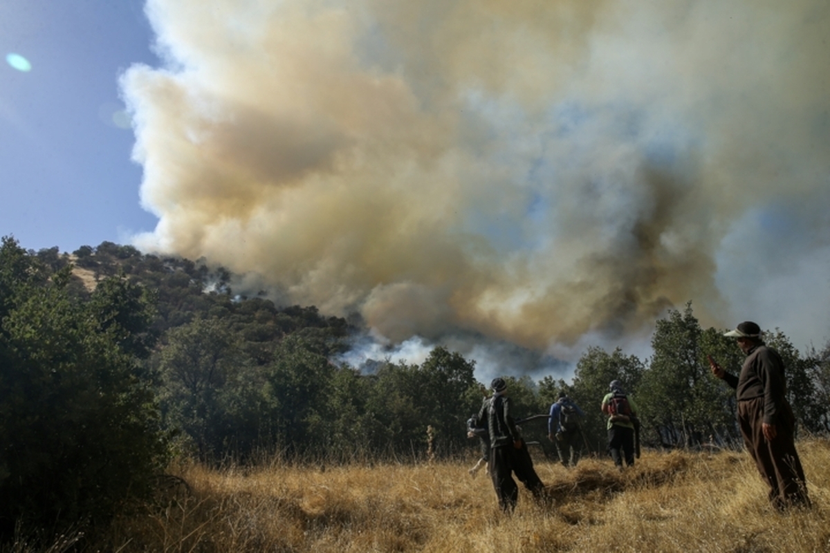 آتش به دامنه دماوند افتاد | نابودی ۸ هکتار پوشش گیاهی به دلیل سهل‌انگاری گردشگران
