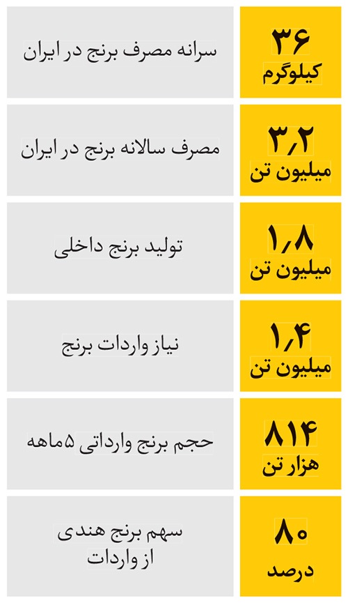 کمیابی و گرانی برنج، دستپخت متولیانی است که نظارت بر بازار را رها کردهاند | غیبشدن برنج به دست محتکران کمیابی و گرانی برنج، دستپخت متولیانی است که نظارت بر بازار را رها کردهاند | غیبشدن برنج به دست محتکران