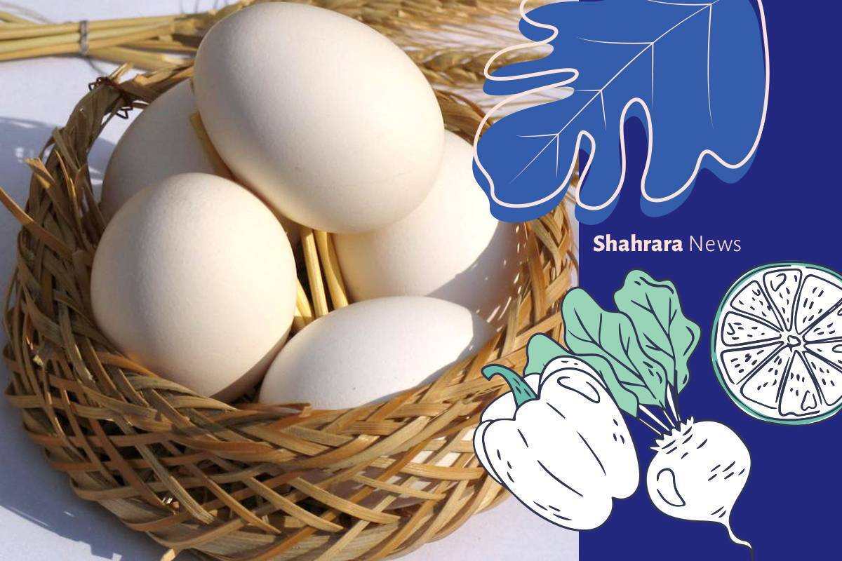 با آغاز فصل درس و مدرسه، بازار خوراکی‌های ناسالم داغ می‌شود. خوراکی‌هایی که هم به سلامت جسمی شما بچه‌ها ضربه می‌زند و هم با دچار شدن به بیماری‌های مختلف خانواده‌ها نگران می‌شوند.