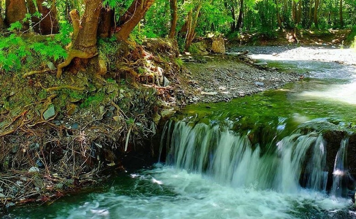فرماندار طرقبه و شاندیز گفت: با توسعه زیرساخت‌ها و خدمات گردشگری، می‌توانیم به مقصدهای جذابی برای گردشگران تبدیل شویم و در نتیجه، بهبود کیفیت زندگی اهالی این مناطق را محقق کنیم.