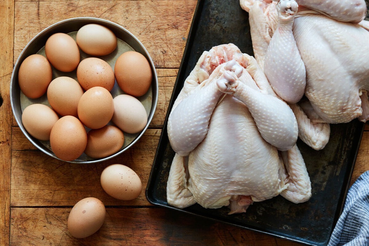 معاون بهبود تولیدات گیاهی سازمان جهاد کشاورزی خراسان رضوی از افزایش چشمگیر تولید تخم‌مرغ و گوشت مرغ در سال ۱۴۰۳ خبر داد و گفت: در حالی که تولید عسل و سایر ماکیان نیز رشد مثبتی را تجربه کرده‌اند، تولید پیله‌تر با کاهش قابل‌توجهی مواجه بوده است.