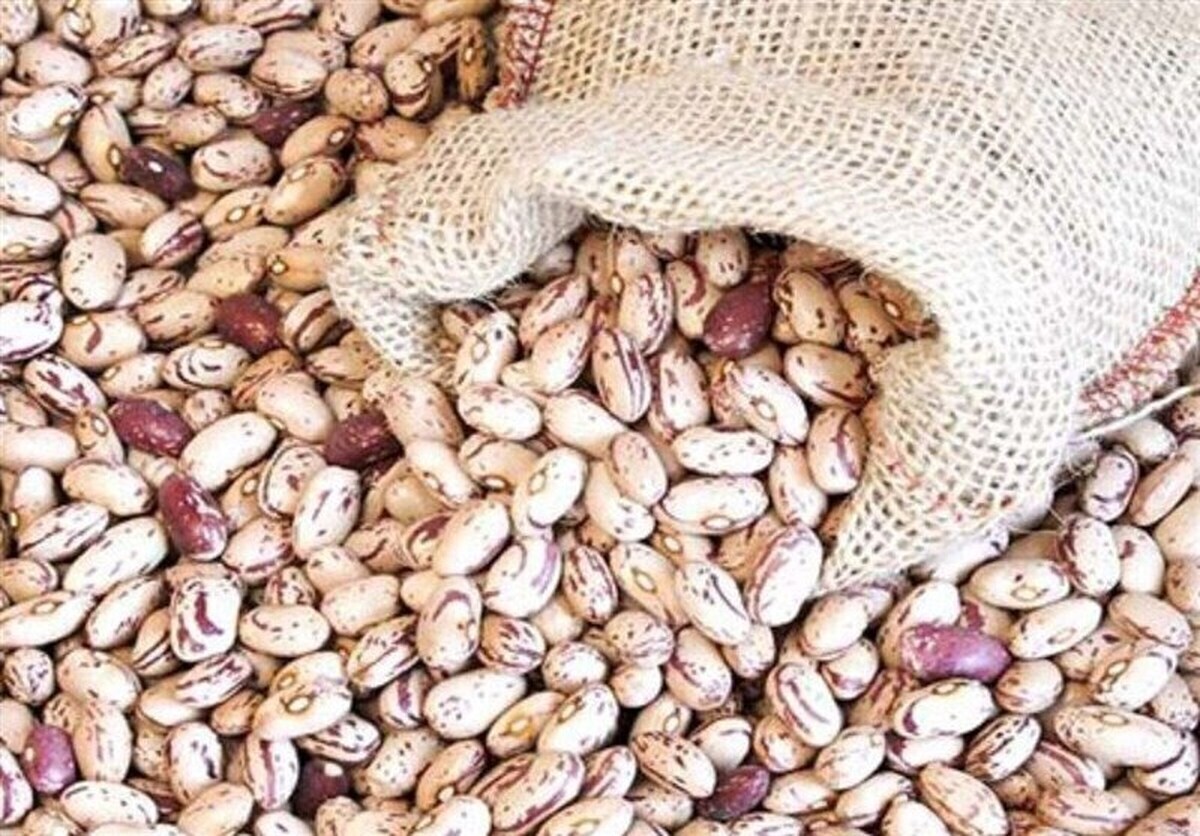 رئیس اتحادیه بنکداران مواد غذایی گفت: با توجه به فصل برداشت، قیمت هرکیلو لوبیا چیتی از ۳۹۰ به ۳۲۰ هزارتومان کاهش یافته است.