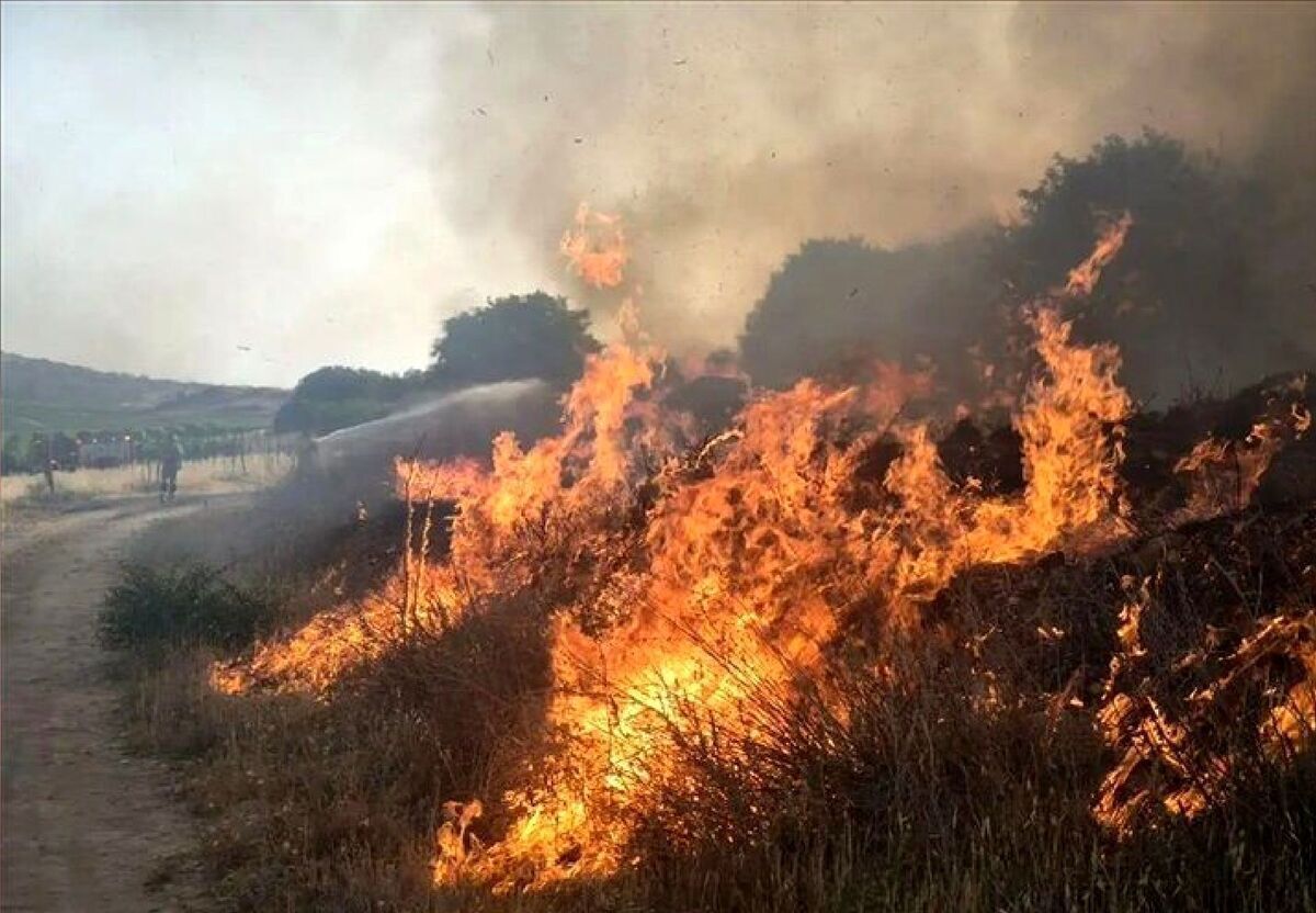 معاون محیط زیست انسانی اداره‌کل حفاظت محیط زیست خوزستان با اشاره به تداوم آتش‌سوزی در بخش عراقی تالاب هورالعظیم، با بیان اینکه اثربخشی آب‌پاشی برای مهار آتش، مناسب ارزیابی نشده است، بر لزوم همکاری بین‌المللی برای رهاسازی آب از رودخانه دجله به سمت تالاب هورالعظیم تأکید کرد.