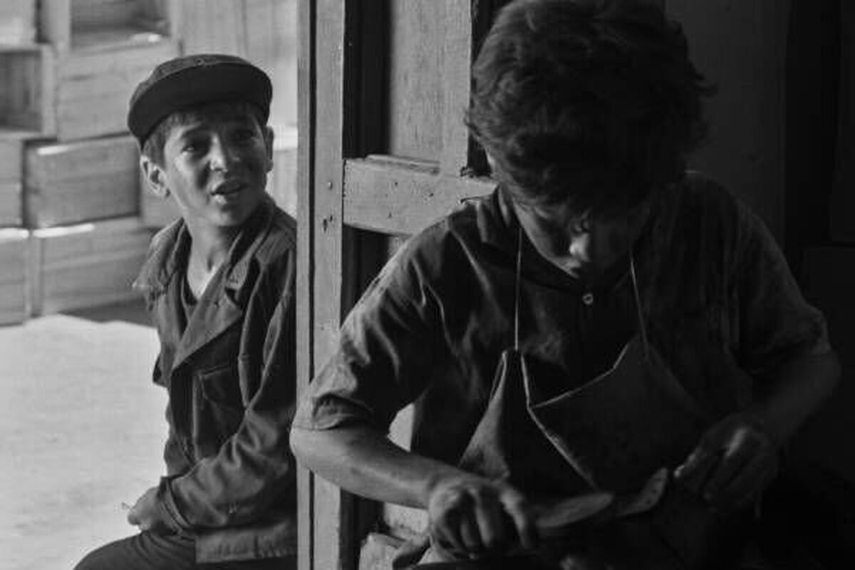 فیلم کوتاه «سفر» به کارگردانی بهرام بیضایی پس از مرمت و بازسازی، در شصت‌ونهمین جشنواره بین‌المللی فیلم لندن به نمایش درمی‌آید.