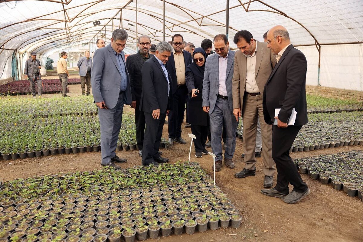 رئیس کمیسیون خدمات شهری شورای اسلامی شهر مشهد گفت: سیاست‌گذاری کمیسیون خدمات شهری بر کاهش وابستگی خرید گل و گیاه از خارج مشهد است که خوشبختانه این سیاست کاملاً عملی شده و هم تولیدات و هم کیفیت آن‌ها افزایش و بهبود یافته است.