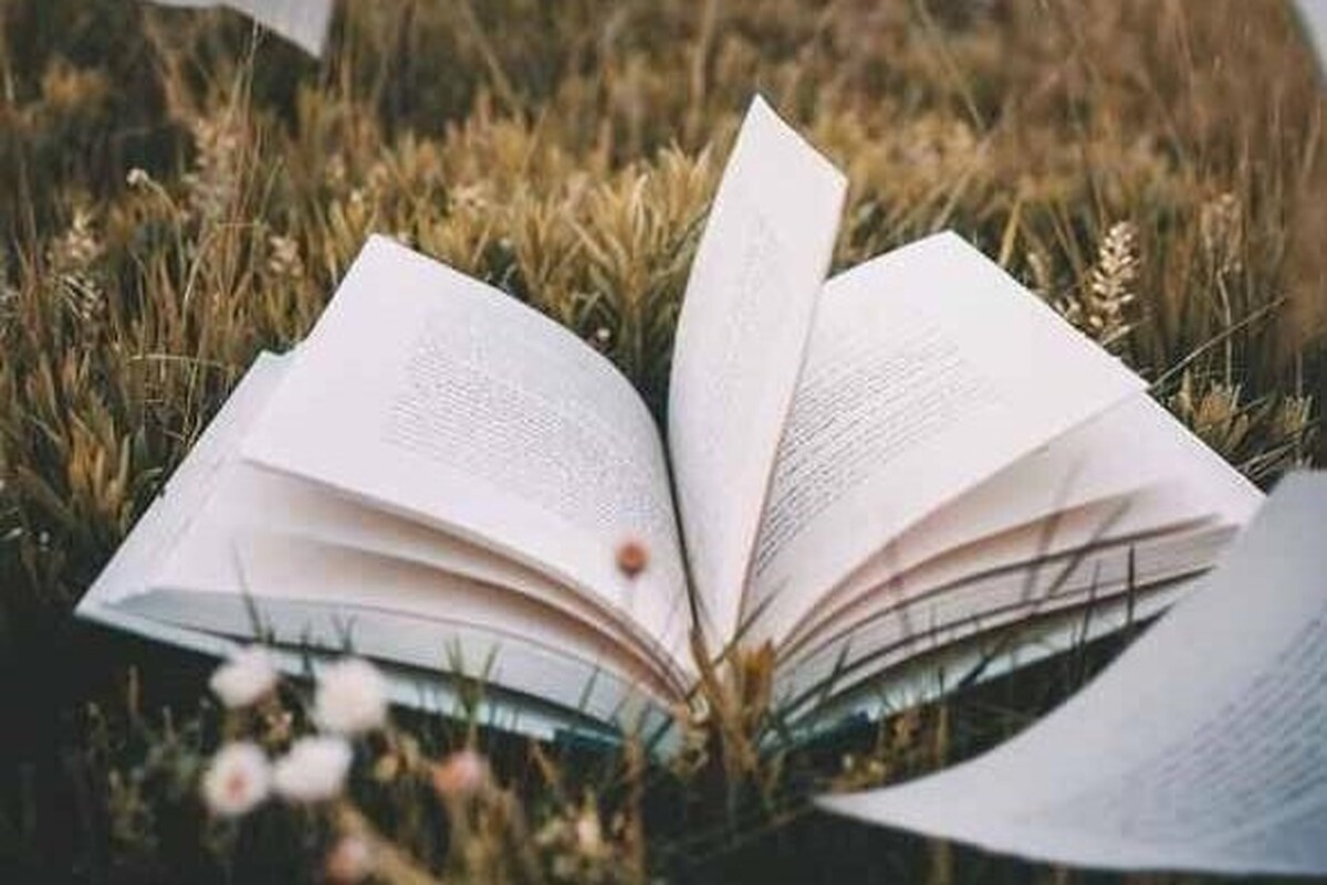 طرح ابتکاری «کتاب در سفر» در اقامتگاه‌های سنتی و بوم‌گردی‌های استان اجرا می‌شود.