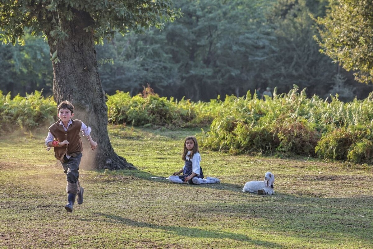 فیلم سینمایی «روماک» به کارگردانی بهمن گودرزی و نویسندگی رحیم ناظریان، روایتی از دوستی، رقابت و عشق در دنیای کودکان دهه ۵۰ است.