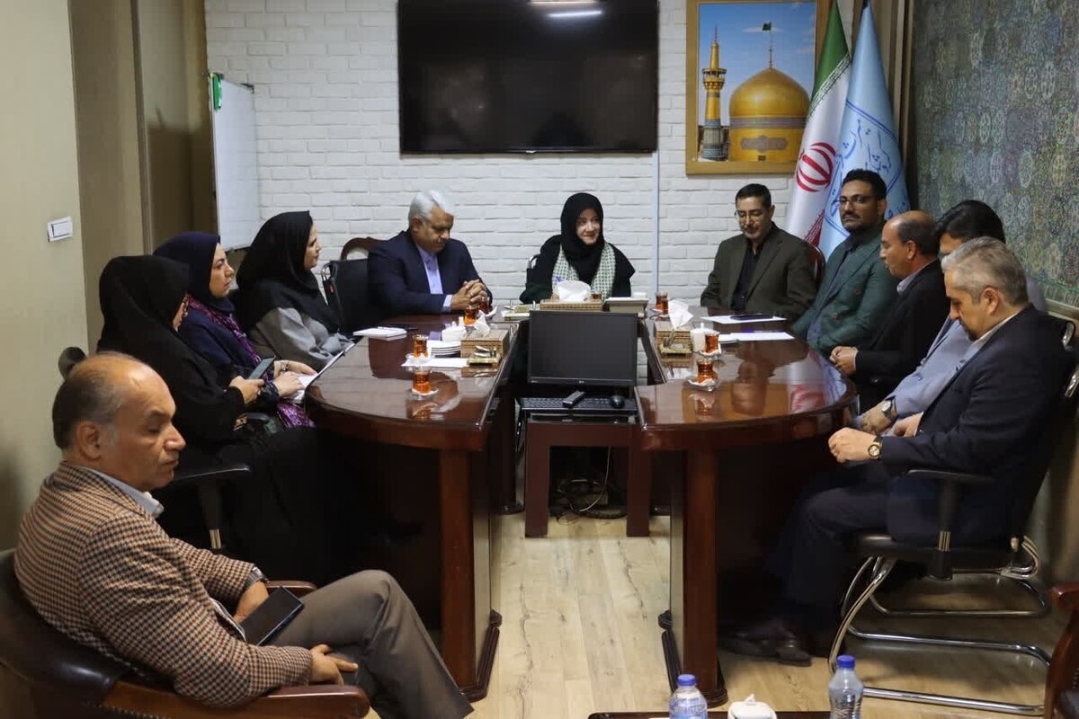 معاون صنایع دستی وزارت میراث‌فرهنگی، گردشگری و صنایع‌دستی گفت: توسعه و ترویج صنایع‌دستی در خراسان رضوی، باید مبتنی بر توزیع و عرضه این حوزه باشد.