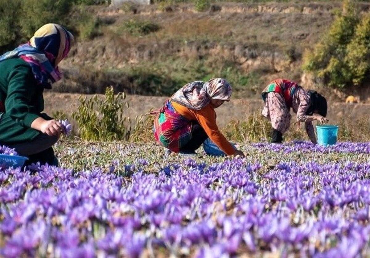 عضو مجلس خبرگان رهبری با تاکید بر اینکه زنان روستایی و عشایری، قهرمانان و سربازان گمنام امنیت غذایی کشور هستند، گفت: نقش آنها از مزرعه تا سفره و از مراتع تا مقاطع بهره برداری بی بدیل است.