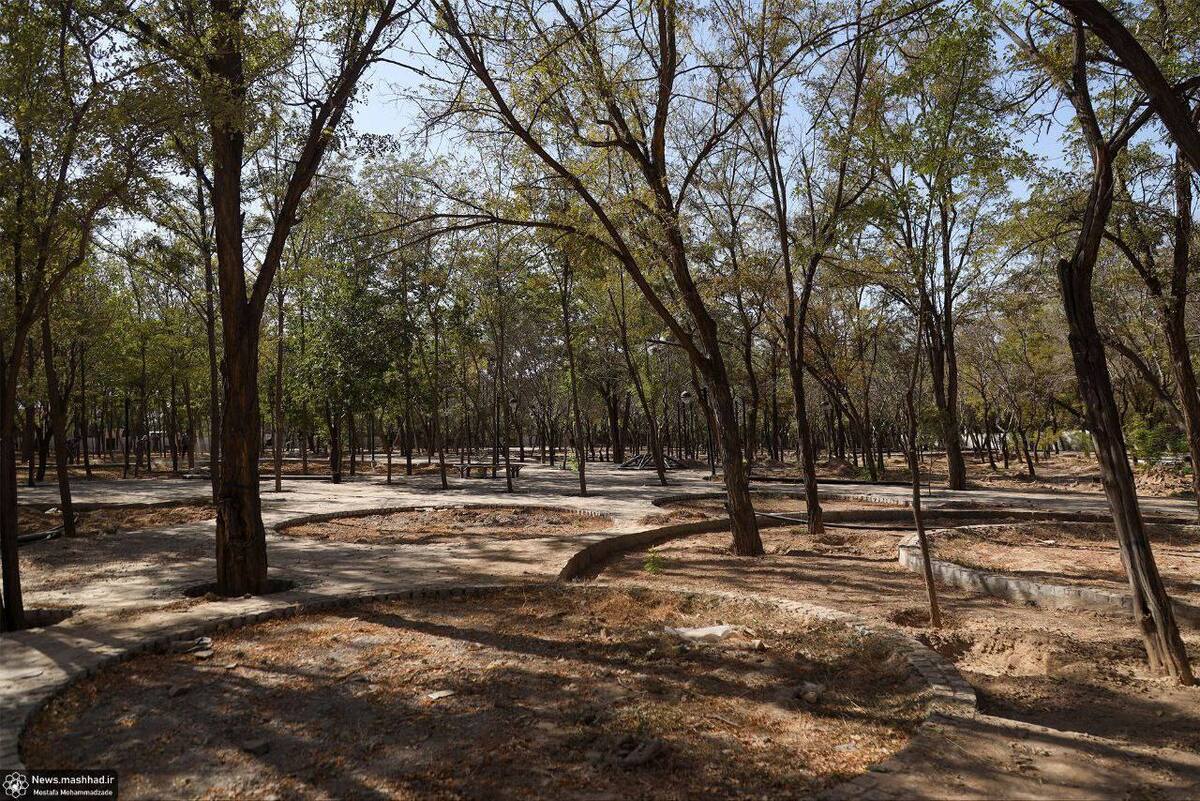 شهردار مشهد مقدس: بوستان شهربانو طرق نمونه‌ای روشن از تحقق عدالت فضایی برای بانوان است