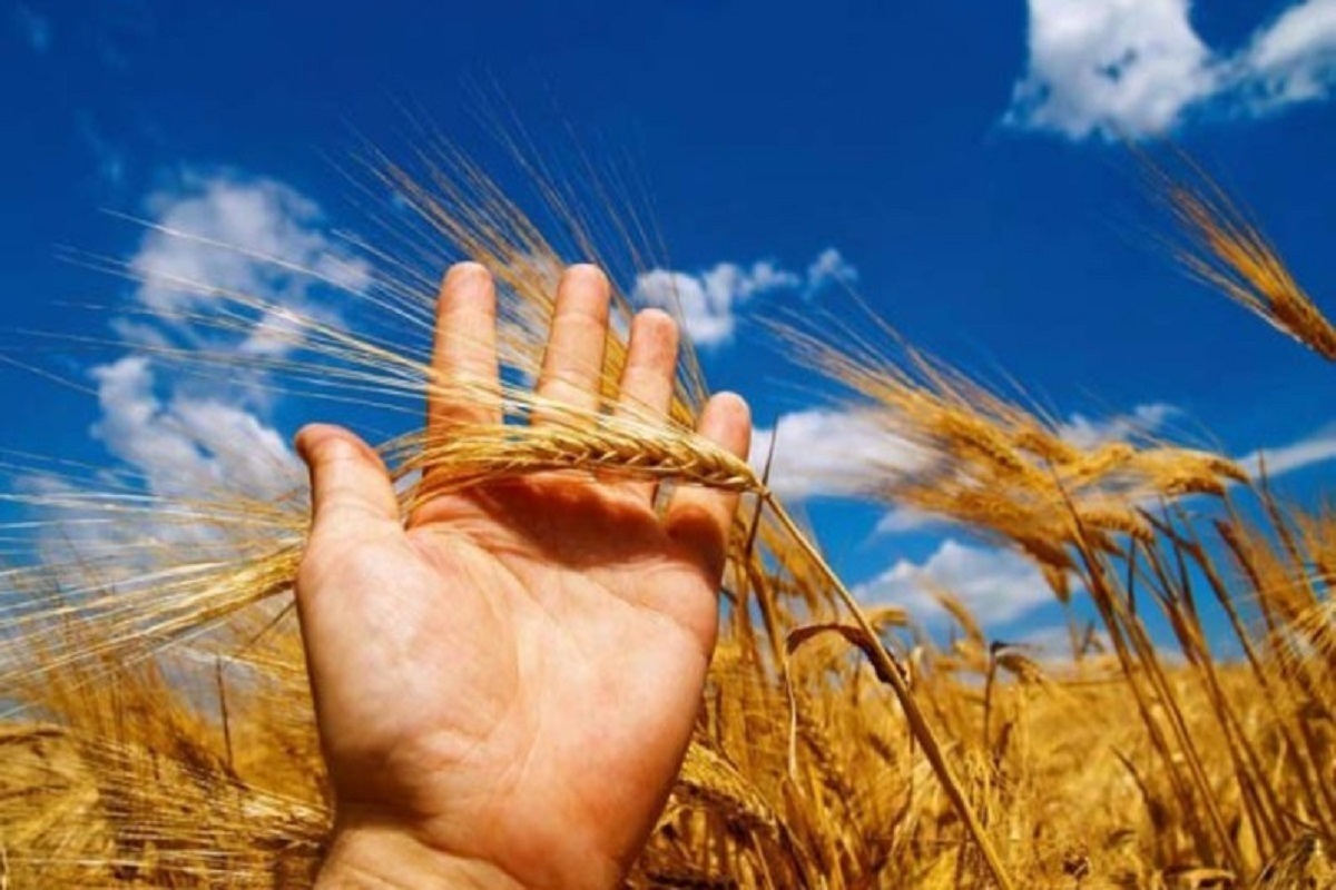 وقتی سفره انسان از رزق حلال پر می‌شود، اخلاق و رفتار او نیز رنگ آرامش می‌گیرد. تغذیه پاک، روح را از خشونت می‌رهاند و روابط خانوادگی را بر پایه گذشت و صبر استوار می‌کند.