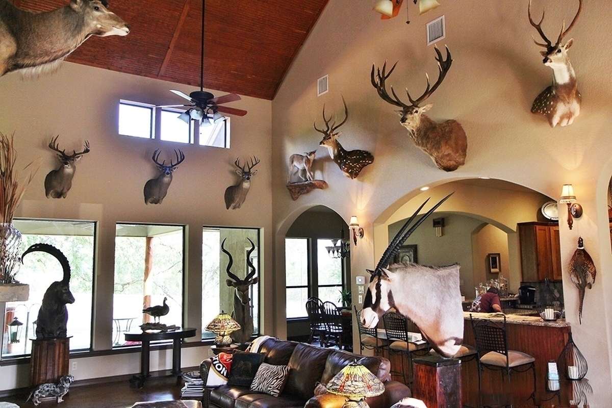 رئیس اداره یگان حفاظت محیط زیست مازندران، از بازداشت ۳۹ متخلف زیست‌‌محیطی در چند شهرستان این استان و کشف مقادیر قابل‌توجهی سلاح، لاشه حیوانات و یک نمونه تاکسیدرمی غیرمجاز خبر داد.