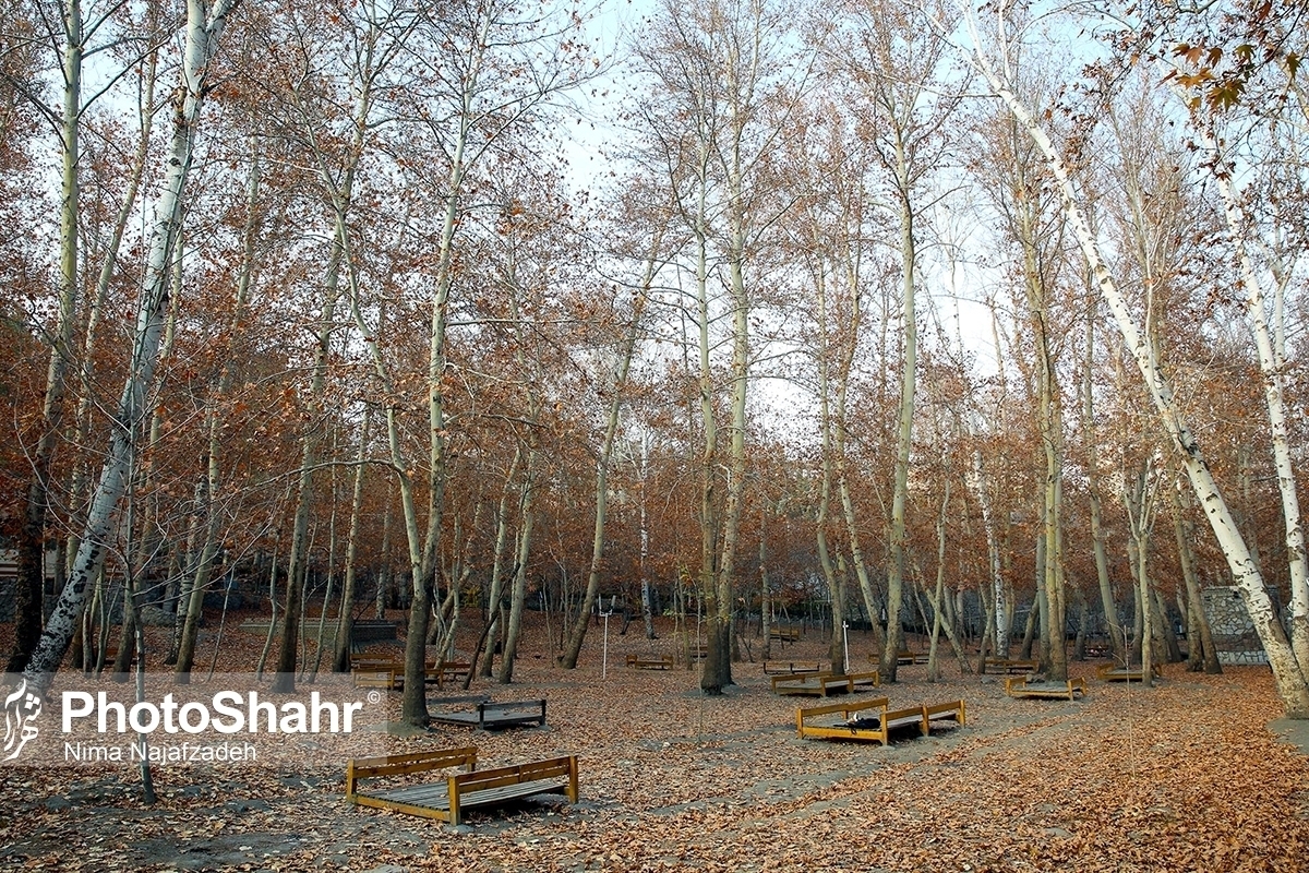 کارشناس اداره هواشناسی خراسان رضوی گفت: امروز در اکثر نقاط استان، روند کاهش دما ادامه دارد، اما برای فردا و طی روز سه‌شنبه، افزایش نسبی دما پیش‌بینی می‌شود.