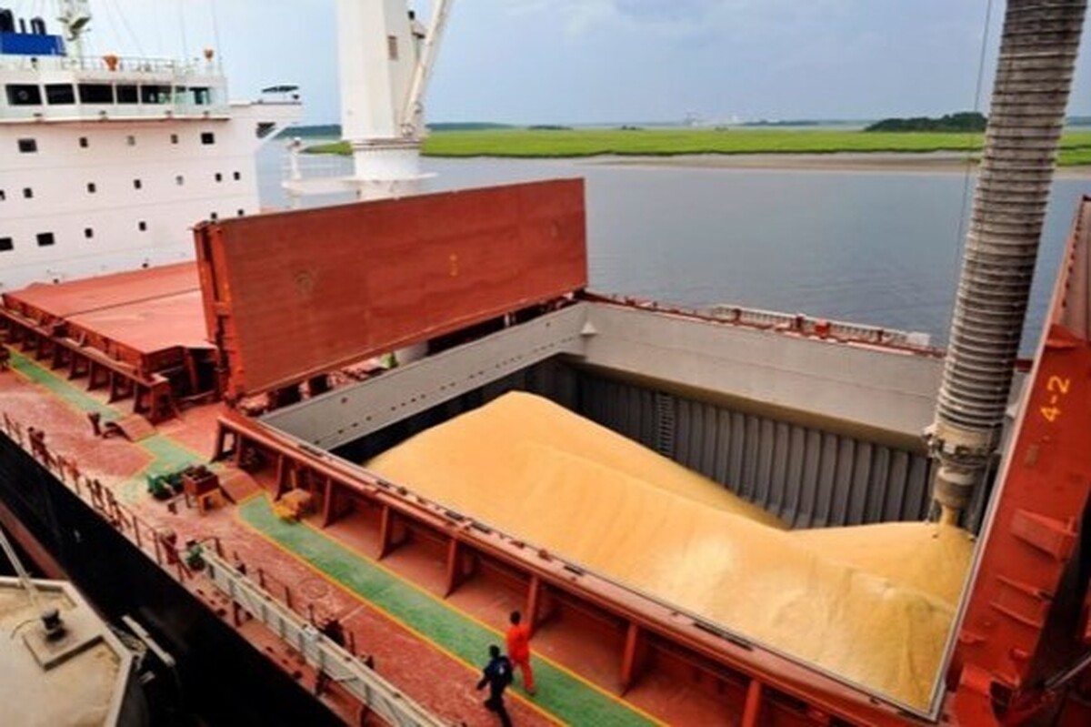 معاون ارزی بانک مرکزی گفت: در سال جاری ۸.۳ میلیارد دلار ارز برای کالا‌های اساسی تامین شده که ۶.۶ میلیارد دلار از آن، ارز ترجیحی و ذخایر و مابقی از تالار مرکز مبادله بوده است.