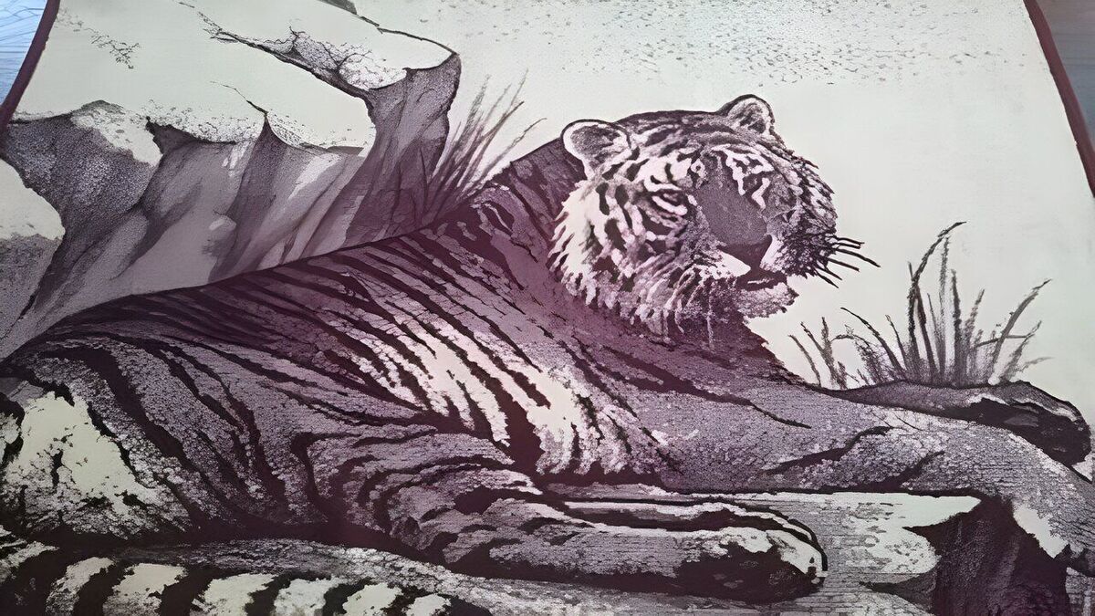 پتو‌های پلنگی، که اغلب به عنوان «پتو نمدی» هم شناخته می‌شوند، ریشه در هنر دست‌بافت‌های باستانی دارند.