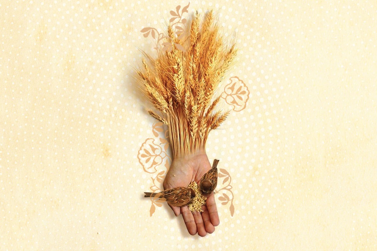 نان حلال از منظر دین اسلام، سرچشمه‌ آرامش و تربیت درست است.