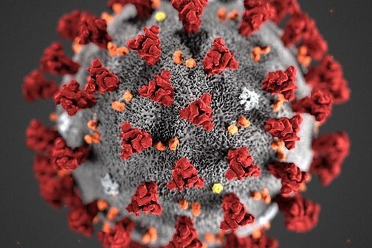 بر اساس تازه‌ترین گزارش مرکز مدیریت بیماری‌های واگیر وزارت بهداشت، در هفته سوم مهرماه، ۱۰.۶ درصد مراجعان سرپایی علائم شبه آنفلوانزا (ILI) و ۱۰.۴ درصد مراجعان بستری علائم تنفسی شدید (SARI) داشتند؛ این آمار نشان‌دهنده کاهش مراجعان سرپایی و هم‌زمان افزایش بیماران بستری در مقایسه با هفته قبل است.