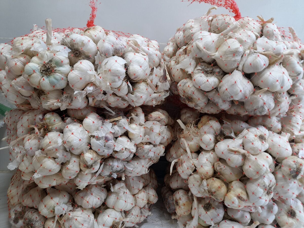 اتحادیه بارفروشان مشهد نرخ عمده فروشی میوه و صیفی جات در میادین تره بار مشهد را اعلام کرد.