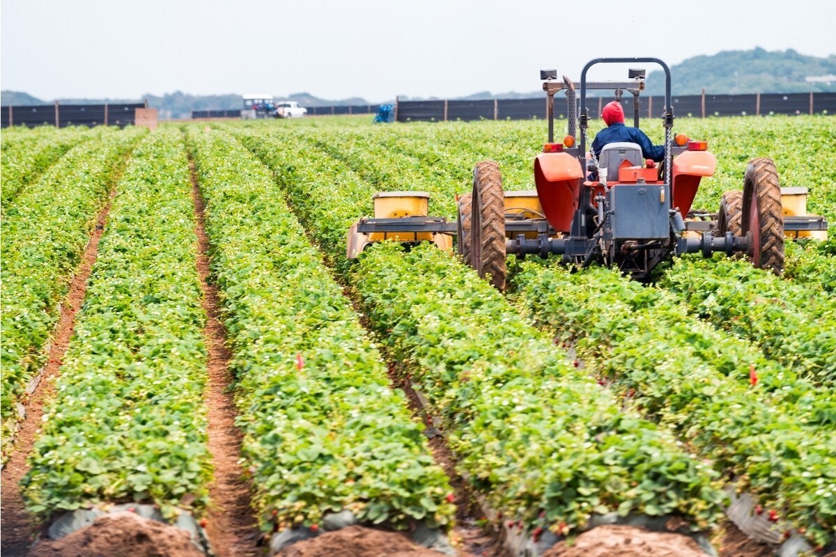 معاون فنی جهاد کشاورزی مشهد از آغاز فاز نخست نصب دستگاه‌های ردیاب سوخت بر روی ماشین‌آلات کشاورزی تحت پوشش این سازمان خبر داد.
