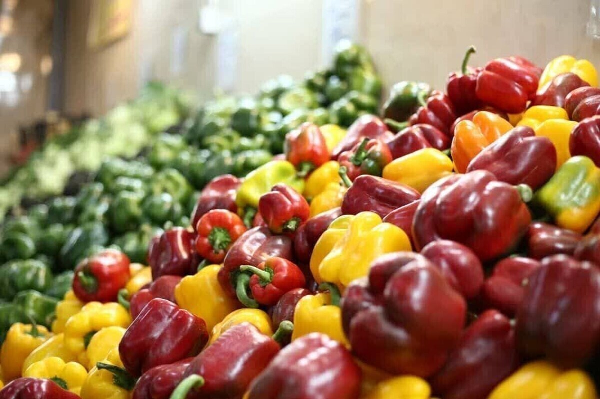 اتحادیه بارفروشان مشهد نرخ عمده‌فروشی میوه و صیفی‌جات در میادین تره‌بار مشهد را اعلام کرد.