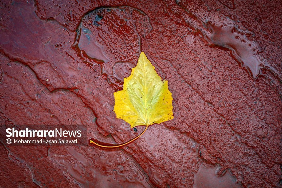 کارشناس اداره هواشناسی خراسان رضوی گفت: برای عصر امروز تا ظهر فردا، بارش‌های رگباری پراکنده در برخی نقاط استان به‌ویژه ارتفاعات، دور از انتظار نیست.