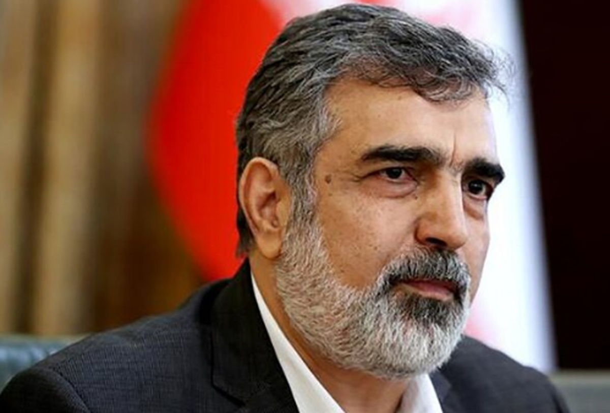 سخنگوی سازمان انرژی اتمی گفت: مذاکرات و توافقاتی با هیئت روس در حوزه ساخت نیروگاه‌های بزرگ‌تر از بوشهر در مجموع چهار واحد با ظرفیت نزدیک به ۵ هزار مگاوات در جنوب کشور انجام شد.