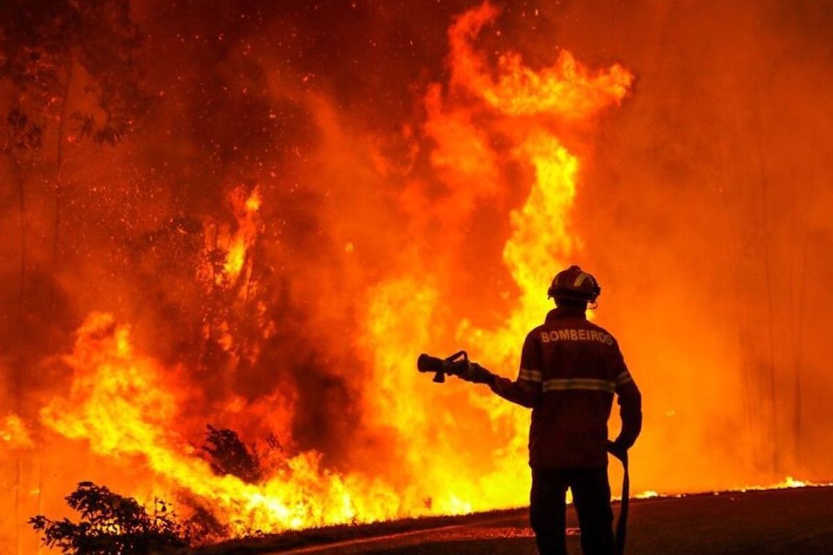 ویدئویی از وقوع آتش‌سوزی در میدان ورزش تربت جام منتشر شده است.