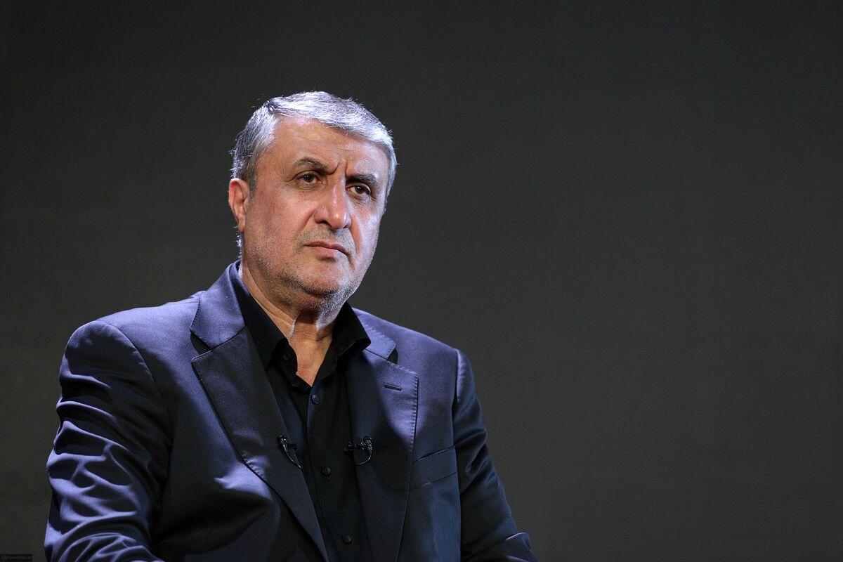 انتقاد اسلامی از عدم محکومیت حمله به تأسیسات اتمی ایران از سوی آژانس