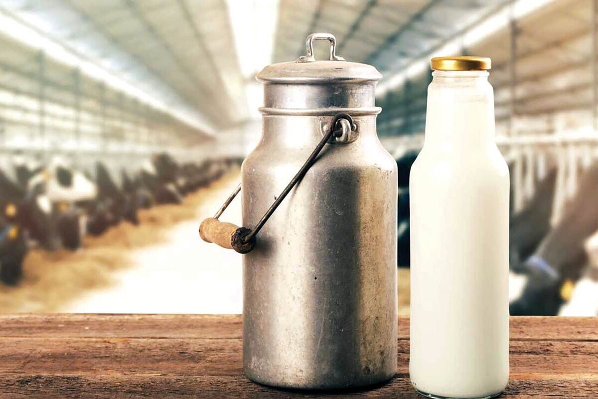 دبیر اتحادیه تولیدکنندگان و صادرکنندگان صنایع لبنی خراسان رضوی با اشاره به اینکه قیمت لبنیات به تدریج در حال افزایش است، تصریح کرد: قیمت شیر خام که دولت مصوب کرده بود، حدود ۲۳ هزار تومان بود، اما اکنون به ۲۷ هزار تومان افزایش یافته است. این افزایش قیمت باعث نگرانی دامداران و مصرف‌کنندگان شده است. از ابتدای سال، قیمت شیر به طور متوسط ۲۰ درصد افزایش یافته است.