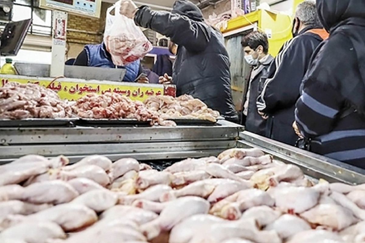 افزایش قیمت مرغ در مشهد (۵ مهر ۱۴۰۴) + جدول