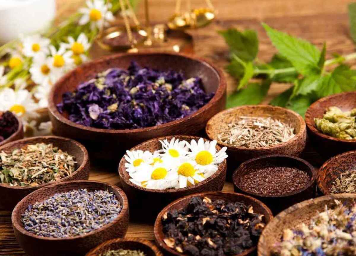 یک متخصص گیاهان دارویی پس از آغاز سال تحصیلی، راهکارهایی برای جایگزین کردن دارو و دمنوش‌های گیاهی به جای مواد شیمیایی ارائه کرد.