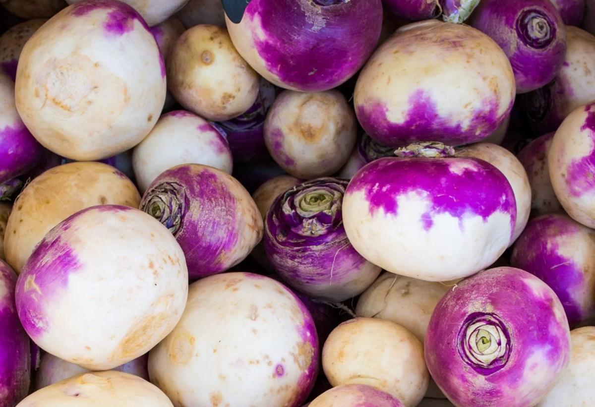 اتحادیه بارفروشان مشهد نرخ عمده‌فروشی میوه و صیفی‌جات در میادین تره‌بار مشهد را اعلام کرد.