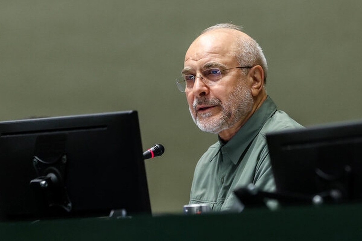 رئیس مجلس شورای اسلامی با اشاره به فعال‌سازی اسنپ‌بک، حل مسائل معیشتی مردم و حفظ انسجام را وظیفه مسئولان دانست و از دولت خواست که طرح کالابرگ را با سرعت بیشتری به اجرا دربیاورد.