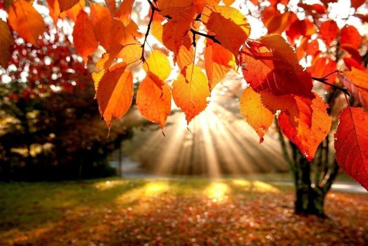 سخنگوی صنعت آب گفت: با توجه به پیش‌بینی پاییز خشک ۱۴۰۴، از مردم و کشاورزان می‌خواهیم با مدیریت مصرف وزارت نیرو را در گذر از بحران آب یاری کنند.