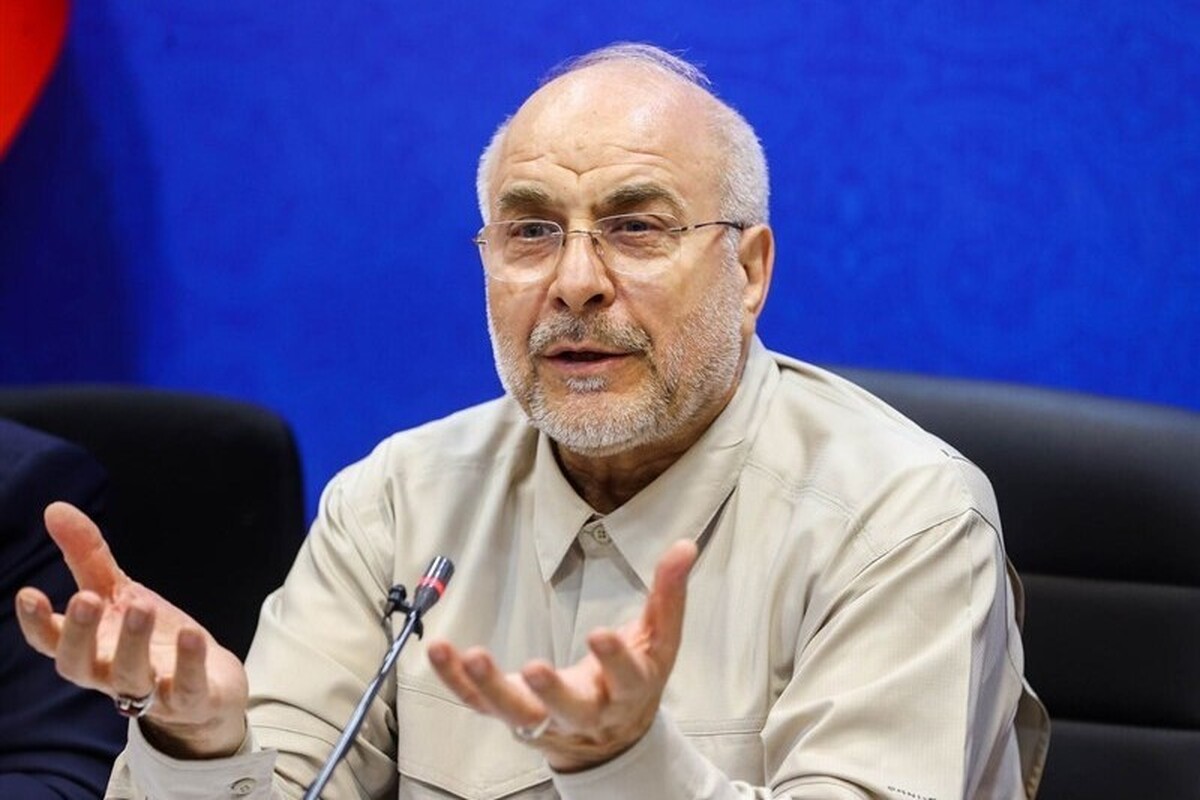 رئیس مجلس گفت: برای رفع ناترازی و اصلاح الگوی مصرف، هرگونه اجبار و عملکرد دستوری حتما خطا است و حتما در کنار آن باید منفعت اقتصادی مردم نیز لحاظ شود.