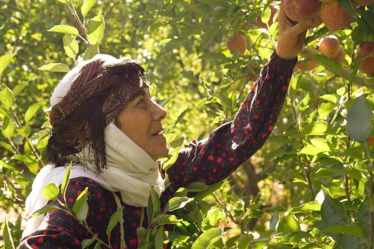 در آغاز هفته دفاع مقدس، سریال «مادران» با حضور هنرمندان مطرح کشور تصویربرداری خود را آغاز کرد.