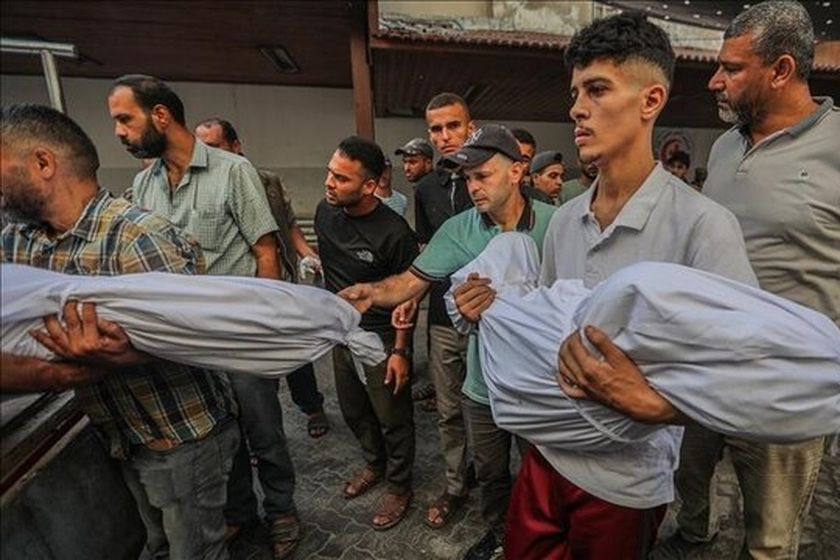 هماهنگ‌کننده ویژه سازمان ملل متحد در روند صلح منطقه غرب آسیا در جلسه شورای امنیت سازمان ملل متحد ضمن انتقاد از حملات رژیم صهیونیستی به نوار غزه، وضعیت در این باریکه را از نظر اخلاقی، سیاسی و قانونی غیرقابل قبول خواند.