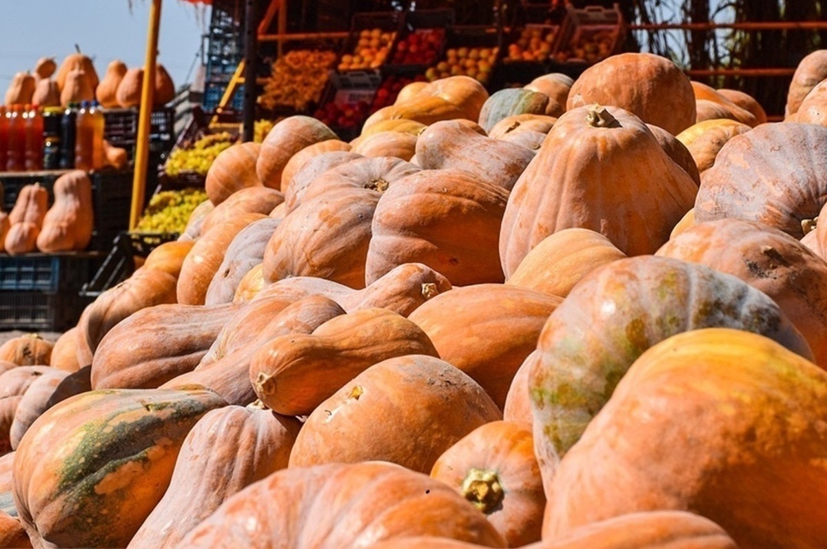 اتحادیه بارفروشان مشهد نرخ عمده‌فروشی میوه و صیفی‌جات در میادین تره‌بار مشهد را اعلام کرد. 