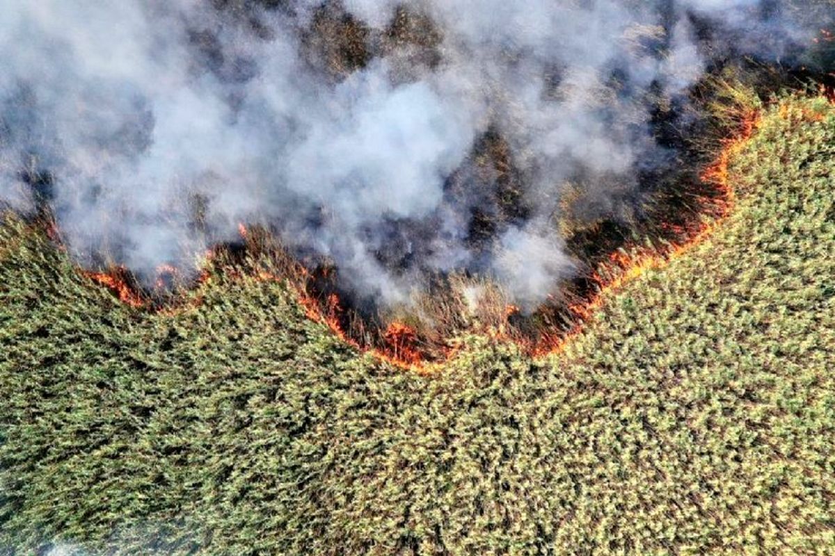 راهکار مدیریت آتش هورالعظیم و آلودگی شدید اهواز چیست؟