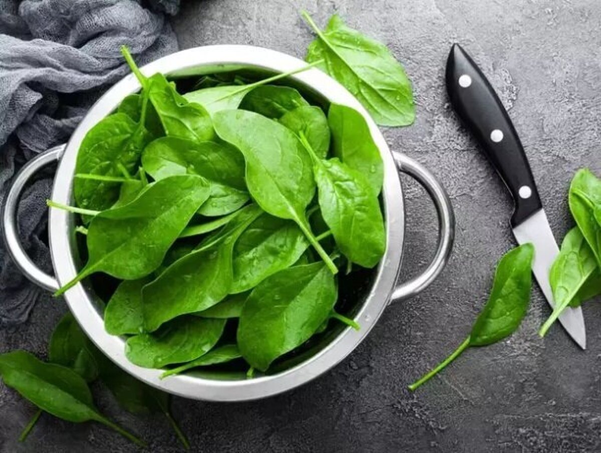 کارشناسان تغذیه می‌گویند یکی از راز‌های سلامت و طول عمر، در همان سبزی آشنایی پنهان است که در سفره‌ی بیشتر خانواده‌های ایرانی دیده می‌شود: اسفناج. این برگ سبز پرخاصیت، اگر درست نگهداری شود، می‌تواند هم در وعده‌های روزانه جای بگیرد و هم سلامت بدن را در طولانی‌مدت تضمین کند.