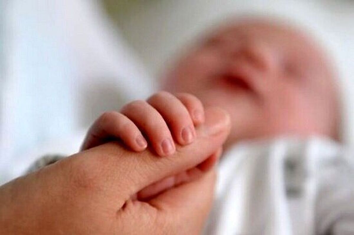 عضو هیات علمی علوم پزشکی اراک، تمایل روزافزون به تک‌فرزندی را یکی از بارزترین نشانه‌های این بحران دانست و گفت: نگرانی‌های شغلی، هزینه‌های سنگین فرزندپروری، عدم حمایت کافی از خانواده‌ها و فشار‌های اقتصادی، والدین را به سمت محدود کردن تعداد فرزندان سوق داده است.