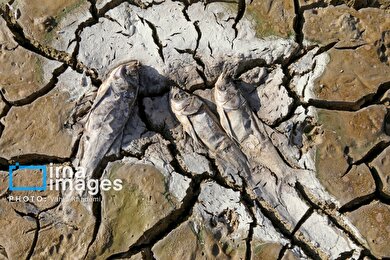 گزارش تصویری | سد خاکی عبدل‌آباد بجنورد خشک شد