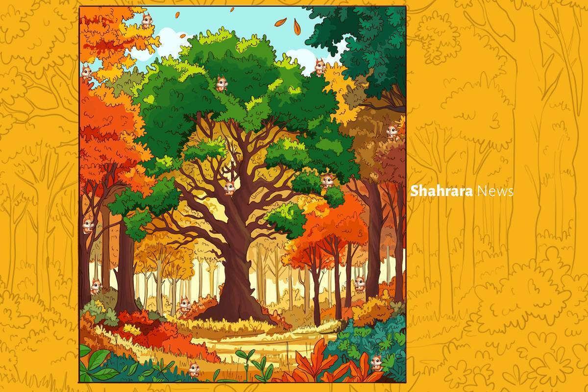 دومین ماه پاییز زیبا از نیمه گذشته است و بسیاری از حیوانات مشغول تهیه و جمع‌آوری آذوقه و خوراک زمستانی‌شان هستند.