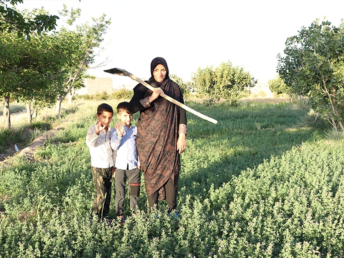 روستایی در دل قاین، زنی به نام «مریم غلامرضا» و زمینی که بوی زعفران می‌دهد؛ همه آنچه لازم بود تا محصولی محلی به دست خریداران اروپایی برسد، آن هم با جادوی اعتماد و ارتباط در دنیای دیجیتال.