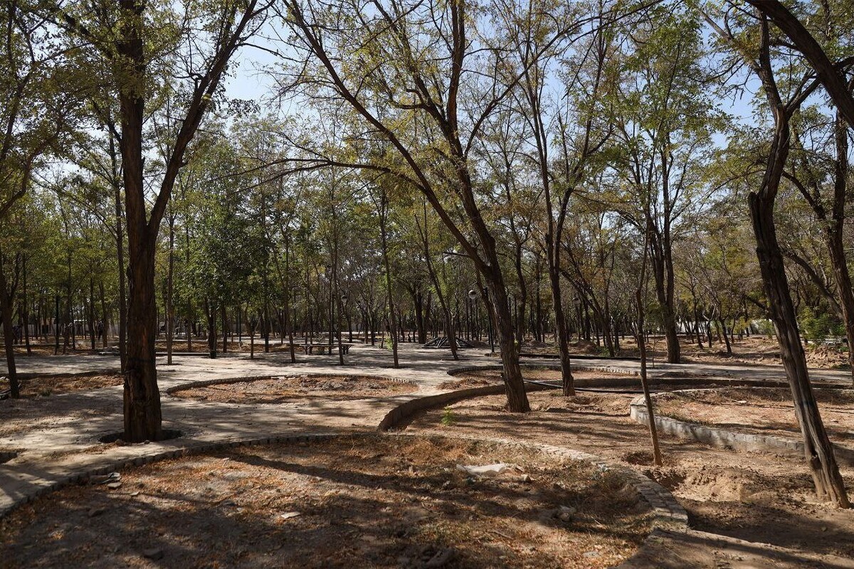 معاون محیط زیست و خدمات شهری شهرداری مشهد از پیشرفت فیزیکی بیش از ۹۰ درصدی بوستان بانوان «صبا» در منطقه طرق خبر داد و گفت: این بوستان جنگلی با مساحت حدود ۵ هکتار، یکی از بزرگ‌ترین پارک‌های جنوب‌شرقی مشهد به شمار می‌رود و به دلیل موقعیت طبیعی خود، با دیگر بوستان‌های بانوان تفاوت دارد.