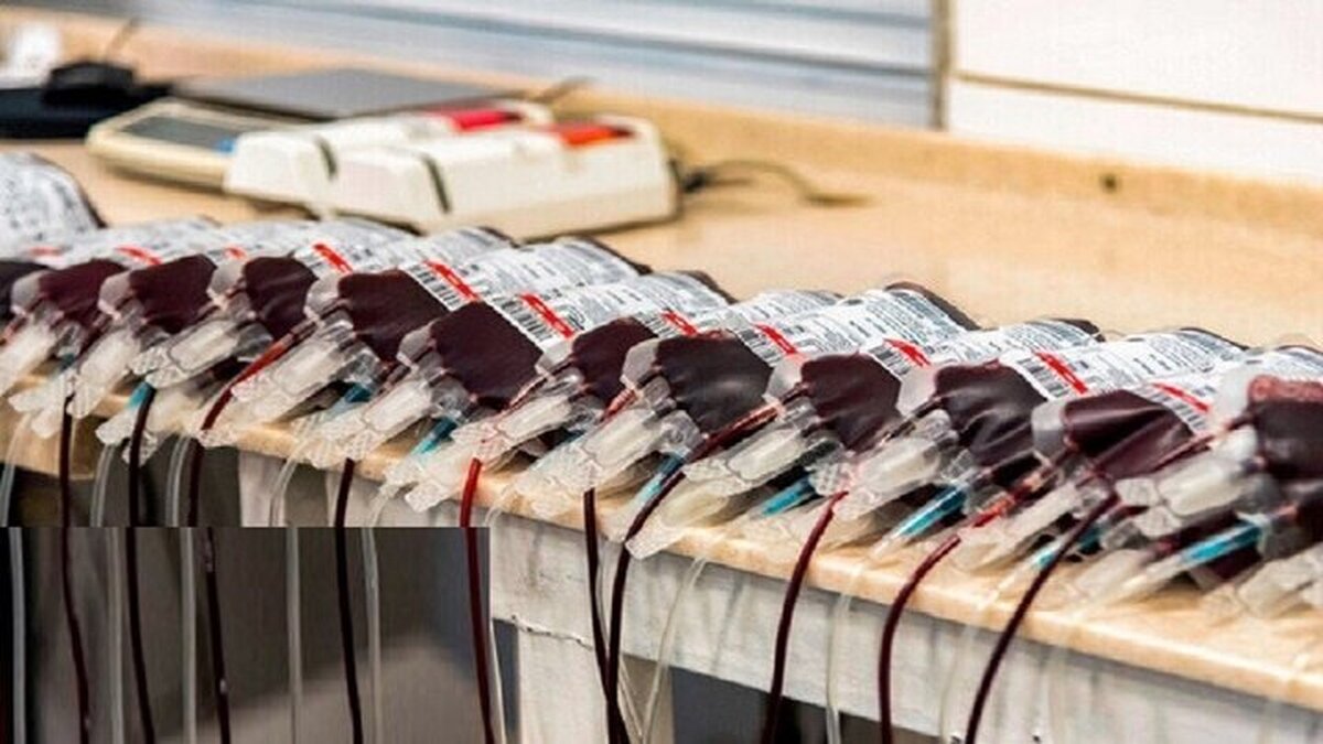 معاون اجتماعی سازمان انتقال خون گفت: طی هفت‌ ماه نخست سال ۱۴۰۴، یک میلیون و ۴۳۵ هزار و ۱۸۳ واحد خون در سراسر کشور اهدا شد و استان‌های سیستان و بلوچستان، زنجان و فارس بیشترین رشد آمار اهدای خون را به خود اختصاص داده‌اند. 