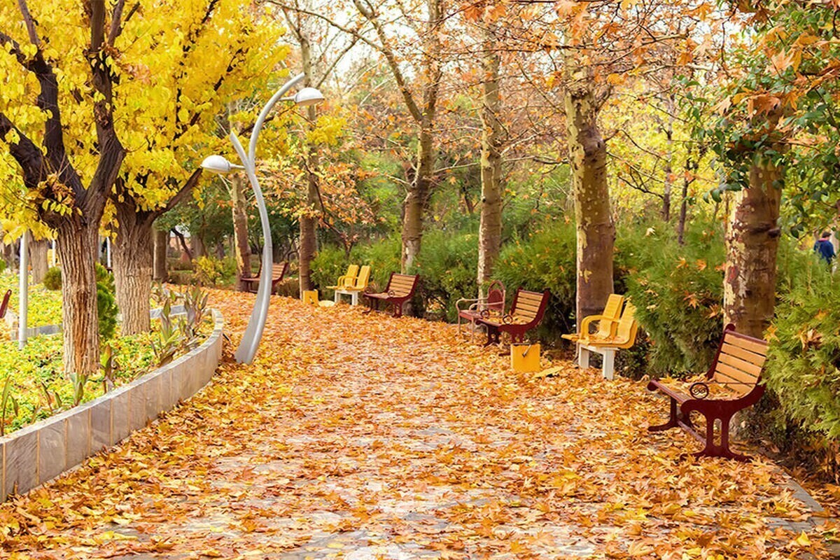 سازمان هواشناسی کل کشور با اعلام احتمال وزش باد شدید در روزهای آتی اعلام کرد: این اتفاق می‌تواند با کاهش کیفیت هوا در نیمه شرقی همراه باشد.